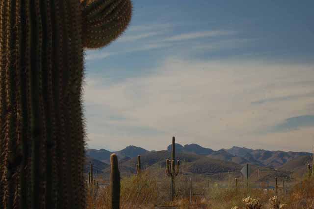 the surrounding terrain